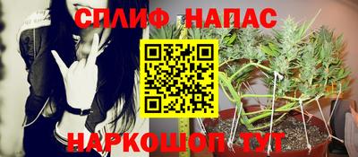mdpv Гусев