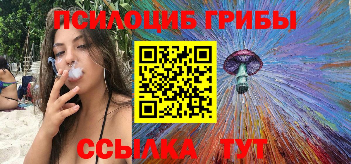 Кыштым  Псилоцибиновые грибы Psilocybine cubensis  Вход с VPN 