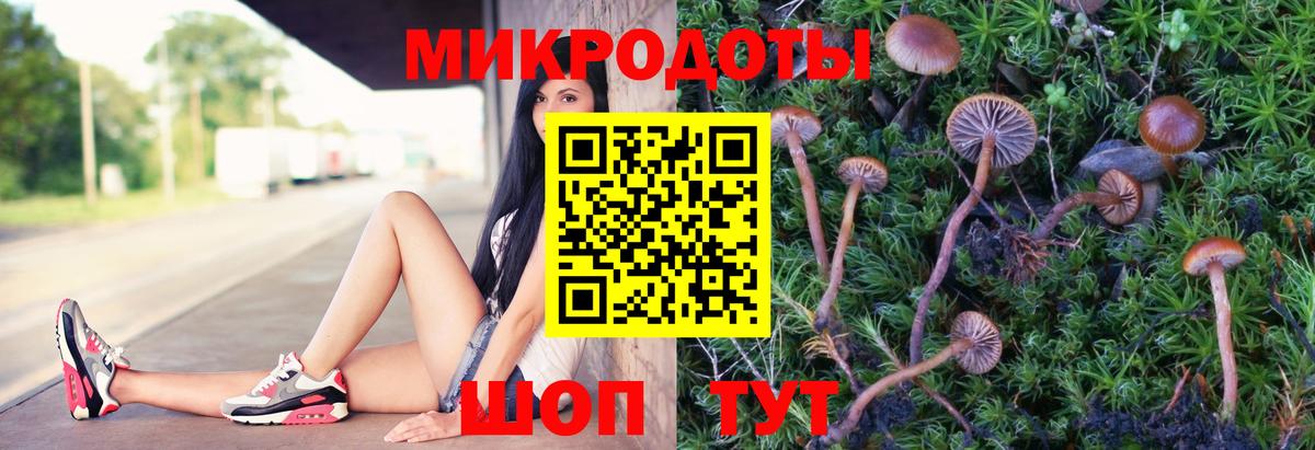 Галлюциногенные грибы мицелий Кыштым